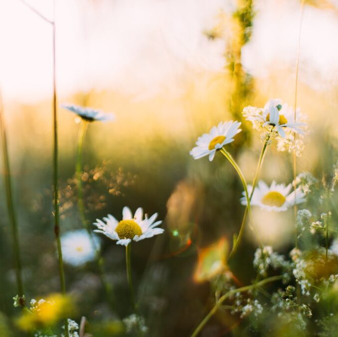daiga ellaby YnNczurdk unsplash x daiga ellaby YnNczurdk unsplash x