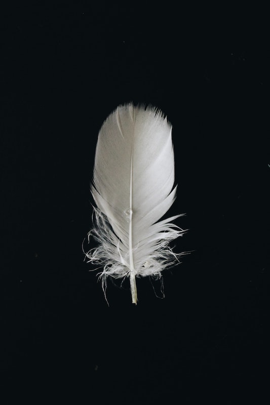 evie-s-DSGP650z8rM-unsplash